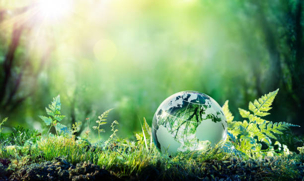 Green Globe On Moss - Environmental Concept
